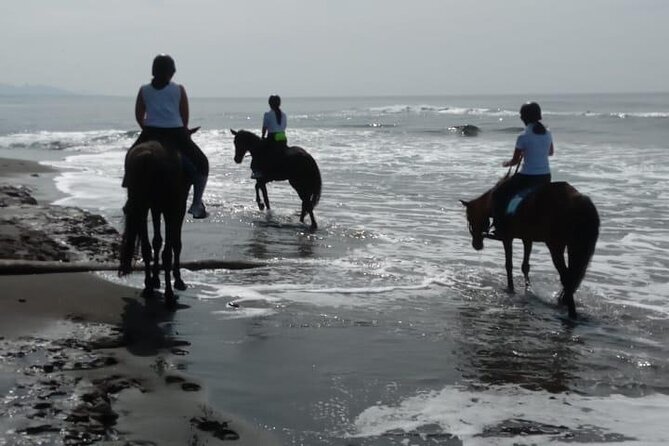 Bali Horse Riding Trot & Canter Saba Beach with Local Temple - Safety and Comfort Details That Actually Matter (Helmet, Locker, Weight Limit)