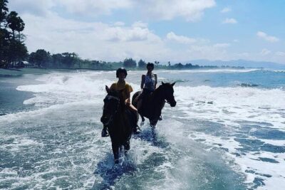 Bali Horse Riding Trot & Canter Saba Beach with Local Temple - On the Sand: Trotting, Cantering, and Watching the Sea Break
