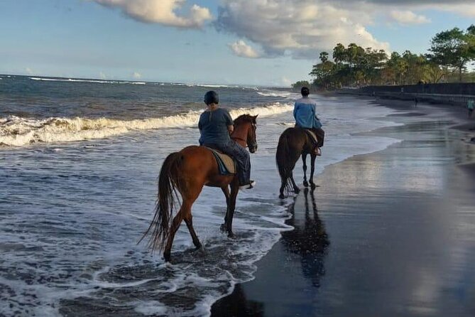 Bali Horse Riding Trot & Canter Saba Beach with Local Temple - What to Wear and Bring for a Black-Sand Ride