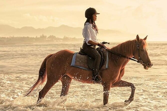 Bali Horse Riding, Waterfall, Rice Terrace, Lunch - All Inclusive - Key highlights worth booking for