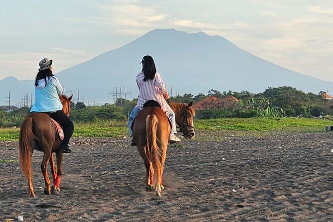 Bali Horse Riding, Waterfall, Rice Terrace, Lunch - All Inclusive - Saba Bay horse riding: seaside views plus a real safety briefing