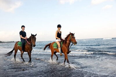 Bali Horse Riding, Waterfall, Rice Terrace, Lunch - All Inclusive - Tegenungan Waterfall: concrete steps, but the route is designed for safety