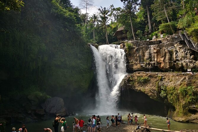 Bali Sunrise Horse Riding and Tour - The horse ride: Sanur black sand and the 1-hour sunrise window