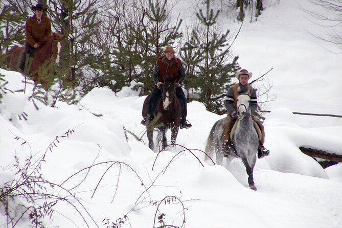 Balkan Horse Riding - Glozhene Monastery Ride - Meeting the Horses at Golyam Izvor