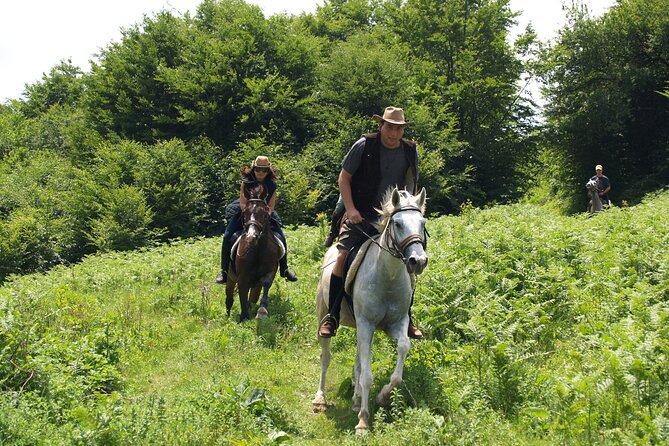 Balkan Horse Riding - Glozhene Monastery Ride - The Ride to Lisets Mountain Ridge: Beech Forest + Big Views