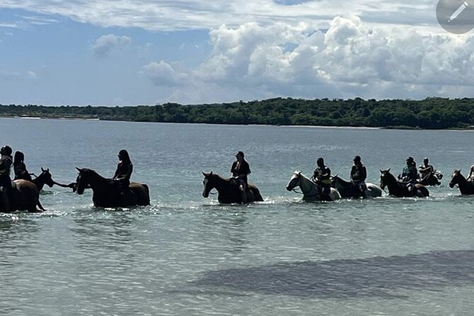 Bamboo Rafting and HorseBack Riding Excursion in OchoRios Jamaica - Key things to know before you go