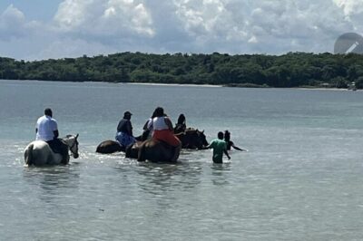 Bamboo Rafting and HorseBack Riding Excursion in OchoRios Jamaica - St Ann’s Bay horseback riding: beach ride plus ocean splash