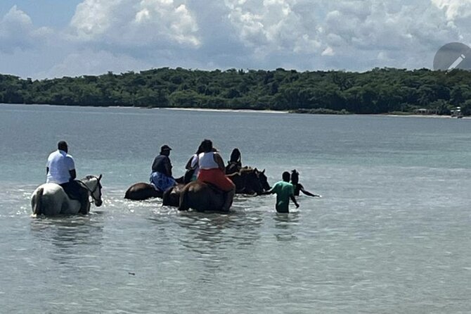 Bamboo Rafting and HorseBack Riding Excursion in OchoRios Jamaica - St Ann’s Bay horseback riding: beach ride plus ocean splash