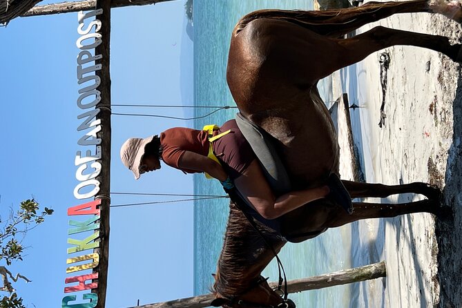 Bamboo Rafting & Horseback -dunns river Transportation Included - The Real Value: A Full Day With Transport Included