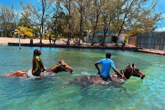 Bamboo Rafting & Horseback Ride n Swim Guided Tour in Montego Bay - Safety, rules, and the strict 230 lbs limit
