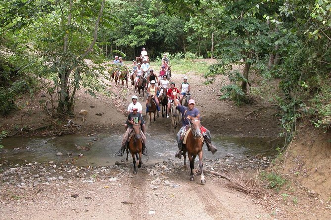 Bayahíbe Horseback Riding & River swimmig - Key Highlights You’ll Actually Care About