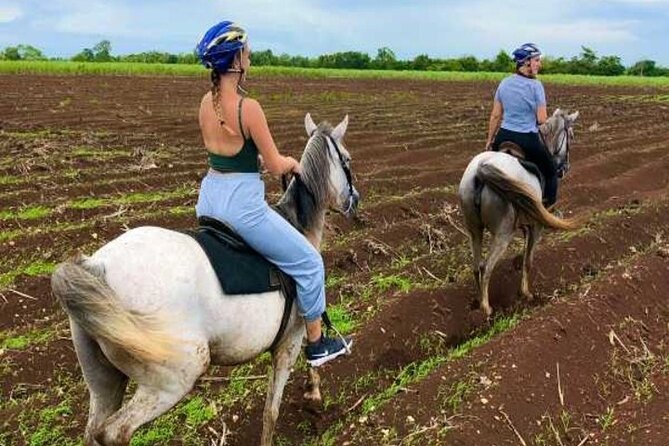Bayahíbe Horseback Riding & River swimmig - Price Check: Is $125 Good Value Here?