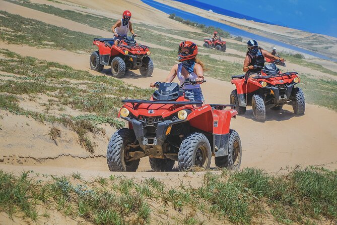 Beach ATV Adventure, Free Horseback Ride, and Sky Bike Experience - Horseback riding: a gentle quarter horse along the Pacific