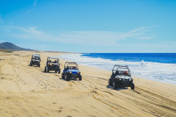 Beach CAN-AM SXS X3 and Horseback Ride in Cabo - Tequila Tasting Plus Buffet: Food, Water, and the Part Adults Actually Remember