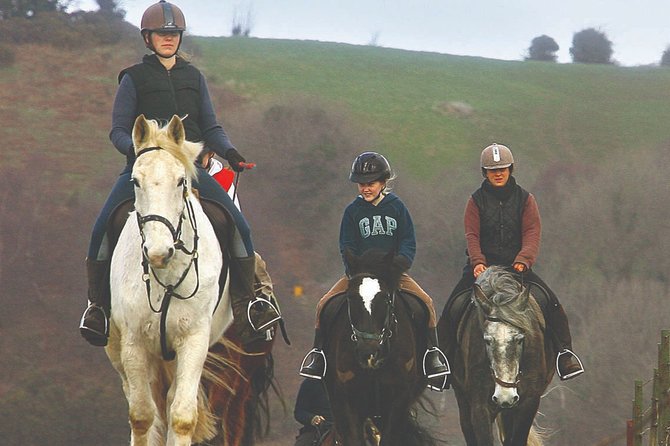 Beach & countryside horse riding outside Westport. Guided. 1 hour - Quick hits before you ride