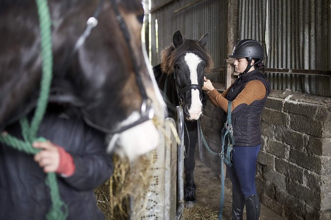 Beach & countryside horse riding outside Westport. Guided. 1 hour - Clew Bay by saddle: why this ride is a Westport standout