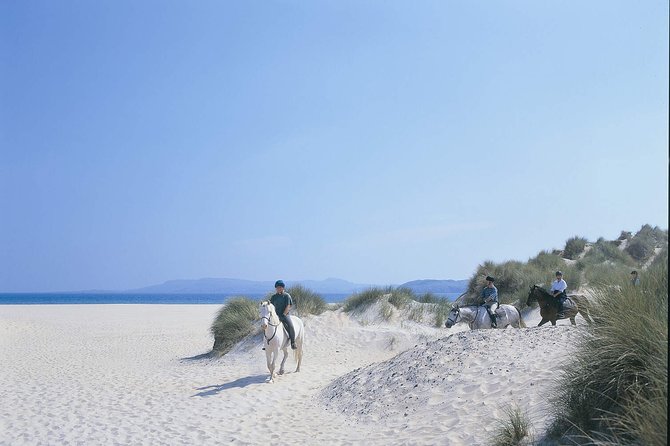 Beach & countryside horse riding outside Westport. Guided. 1 hour - Walk, trot, or canter: how riding level affects your ride