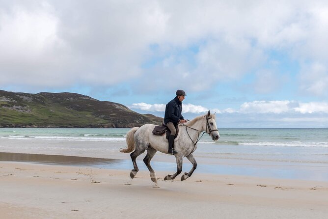 Beach & countryside horse riding outside Westport. Guided. 1 hour - Weather, tide, and time of day: when your ride goes farther