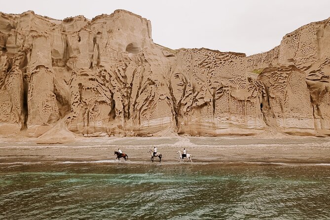 Beach Gallop - Horse Riding Safari for Experienced Riders - Key Highlights You Should Know