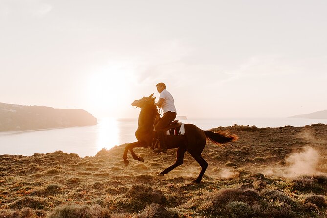Beach Gallop - Horse Riding Safari for Experienced Riders - Timing, Location, and Getting There Without Stress
