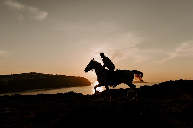 Beach Gallop - Horse Riding Safari for Experienced Riders - Price and Value: What $192.04 Is Paying For