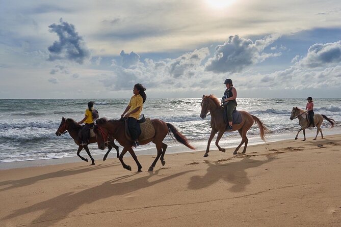 Beach Horse Riding Activity in Phuket - Kamala Beach from the Saddle: what this ride really feels like