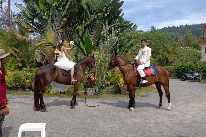 Beach Horse Riding Activity in Phuket - After the ride: showering and feeding your horse