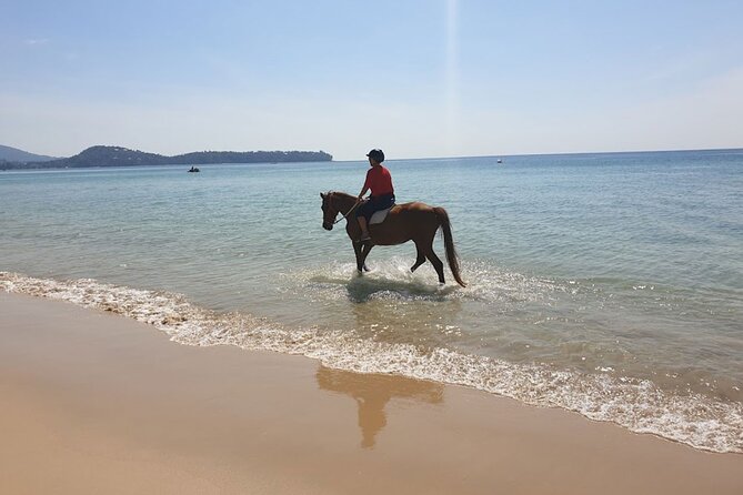 Beach Horse Riding Activity in Phuket - Who this is best for (and who should pick a different Phuket plan)