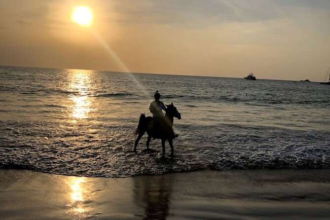 Beach Horse Riding At Sunset In Phuket - Horse care questions: how to handle animal welfare concerns