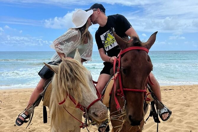 Beach Horseback Ride Tour at Punta Cana - Getting to the horses: pickup reality check