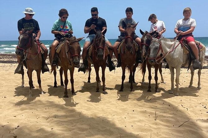 Beach Horseback Ride Tour at Punta Cana - Reaching the destination: the ocean meets the river mouth