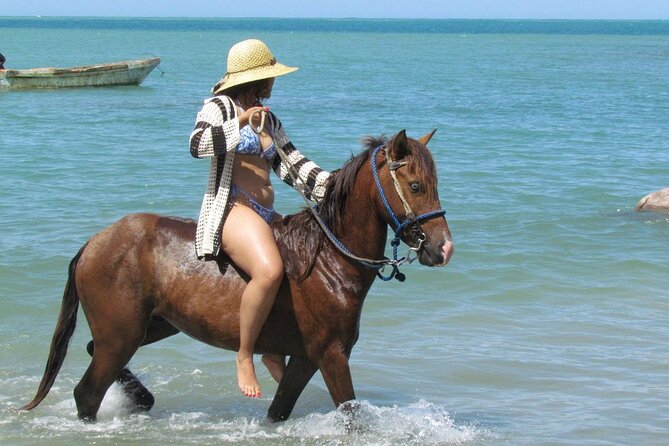 Beach Horseback Ride Tour in Puerto Plata - Scenic & Fun for All - Key highlights you’ll care about