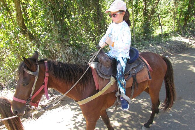 Beach Horseback Ride Tour in Puerto Plata - Scenic & Fun for All - Horseback to Bergantín Beach: What Makes It Special