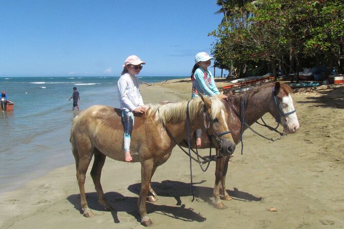 Beach Horseback Ride Tour in Puerto Plata - Scenic & Fun for All - Beach Bar Stop After the Ride: How to Use the Down Time