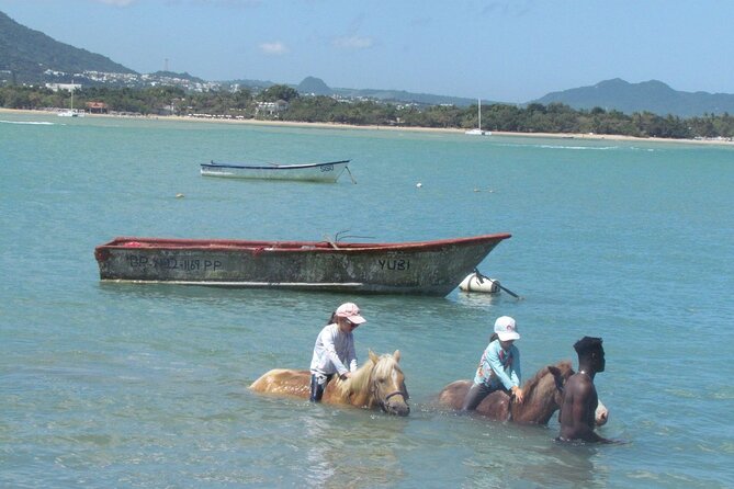 Beach Horseback Ride Tour in Puerto Plata - Scenic & Fun for All - Safety, Comfort, and Horse Readiness Tips