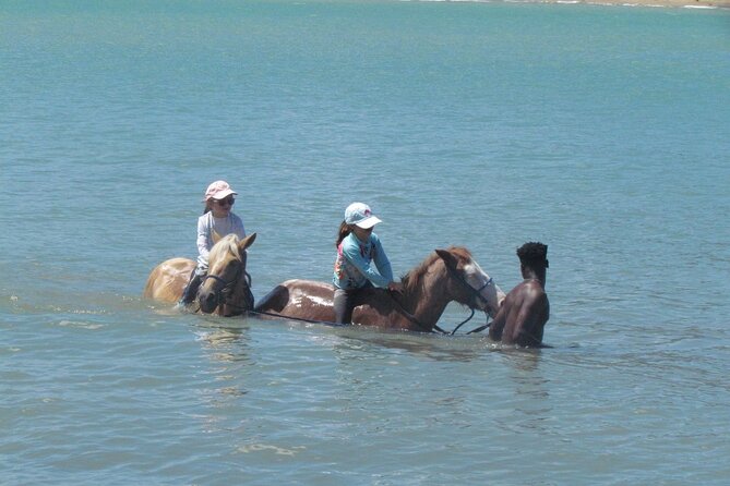 Beach Horseback Ride Tour in Puerto Plata - Scenic & Fun for All - Who Should Book This Puerto Plata Horseback Ride