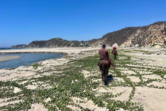Beach Horseback Riding Adventure in Copalita, Huatulco - Horses and guides: the difference between a ride and a headache