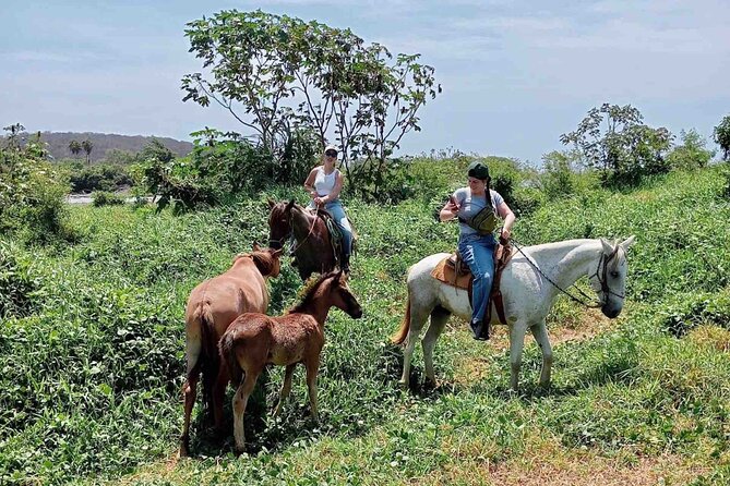 Beach Horseback Riding Adventure in Copalita, Huatulco - Price and value: is $83.99 worth it in Huatulco?