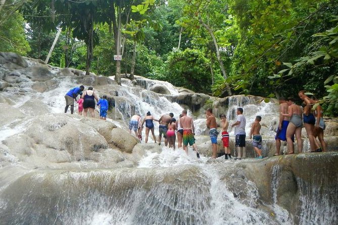Beach Horseback Riding and Dunn’s River Falls - Dunn’s River Falls: Climbing the Terraces in a Human Chain