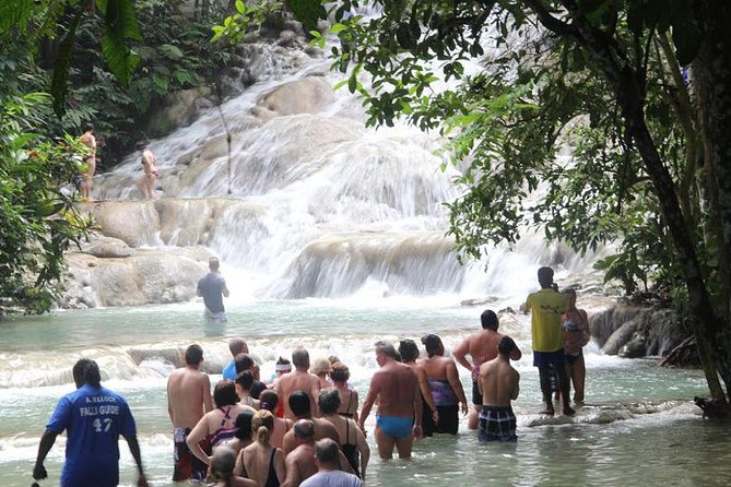 Beach Horseback Riding and Dunn’s River Falls - Guides, Tips, and the Parts You Can Handle