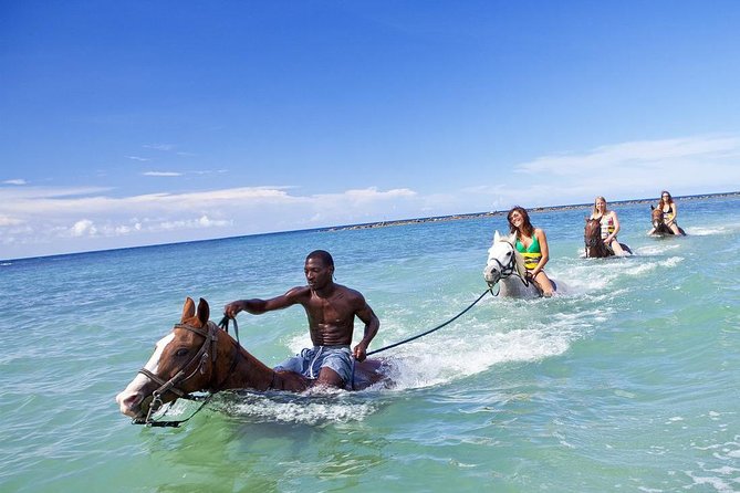 Beach Horseback Riding and Dunn’s River Falls - Stop 1 at Hooves: How the Horse Ride Sets the Tone