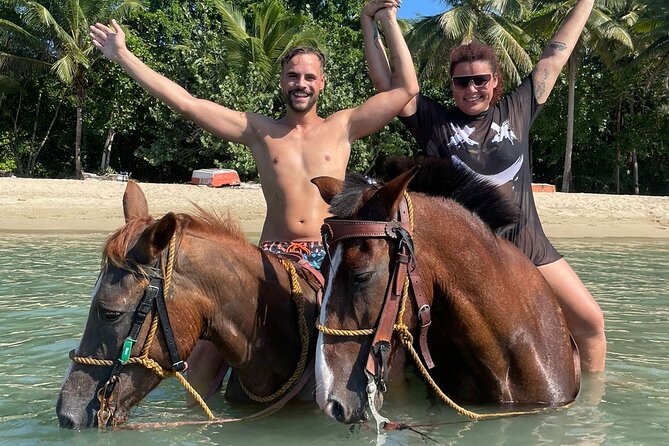 Beach Horseback Riding and Swim Horse in Puerto Plata - Horses for all levels, and why the horse choice matters
