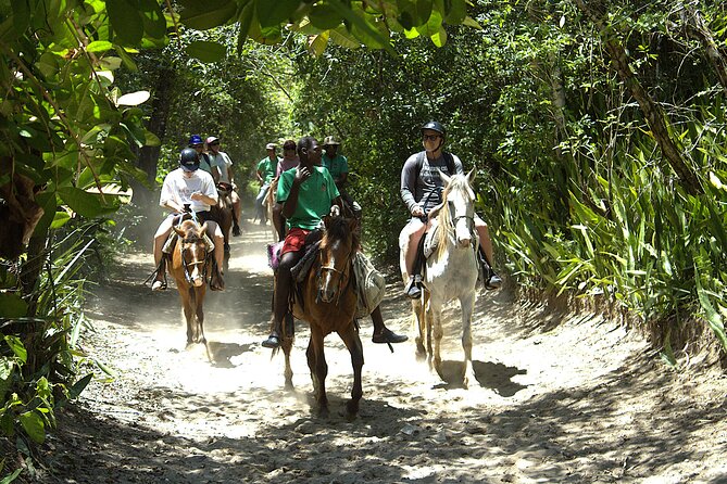 Beach Horseback Riding and Swim Horse in Puerto Plata - Bergantin beach break: swim, cool down, and refuel