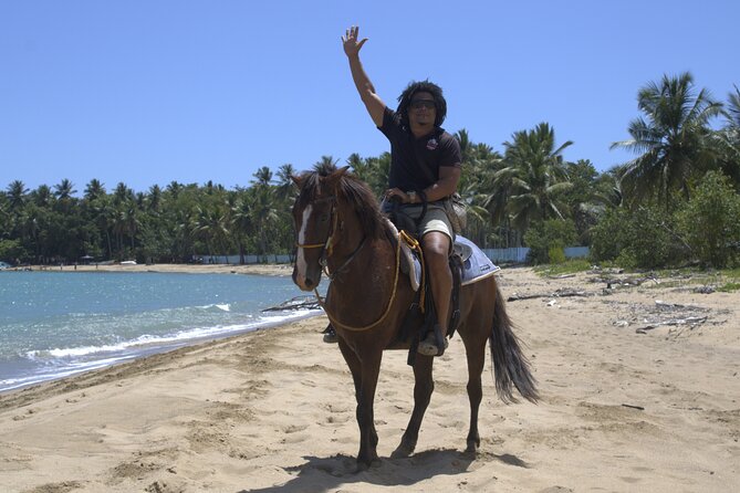 Beach Horseback Riding and Swim Horse in Puerto Plata - Guides, pictures, and the small details that make it feel real