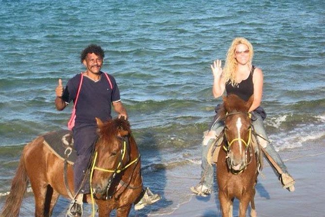 Beach Horseback Riding in Puerto Plata - Starting at Playa Dorada: what happens before you move