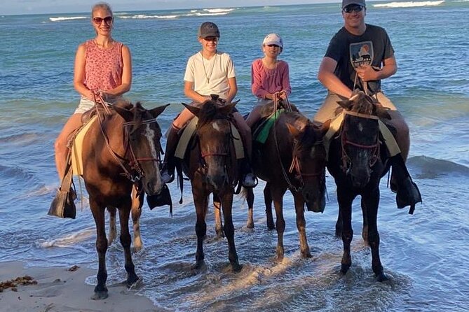 Beach Sunset Horseback Ride in Punta Cana - The $55 Price: What You’re Really Getting