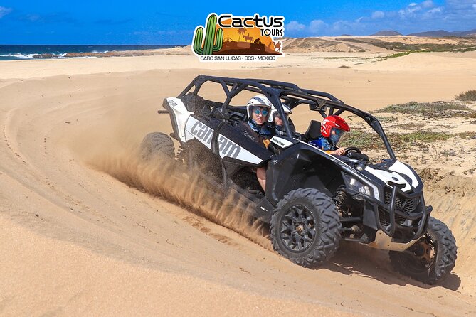 Beach UTV Adventure with Free Camel and Horseback Ride - Getting Started at Cactus Tours: Aviary Time and Safety Gear