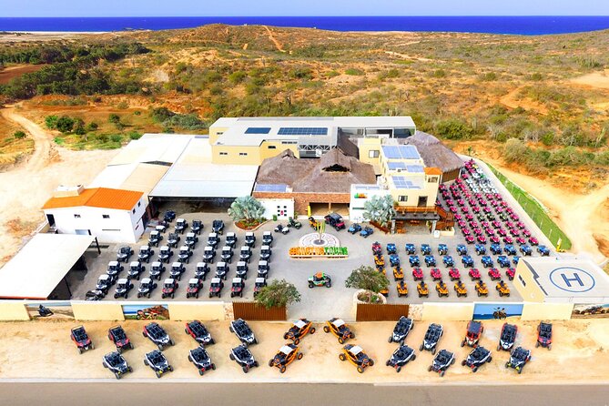 Beach UTV Adventure with Free Camel and Horseback Ride - Camel Encounter and Beach Riding: Ocean Views From the Sand