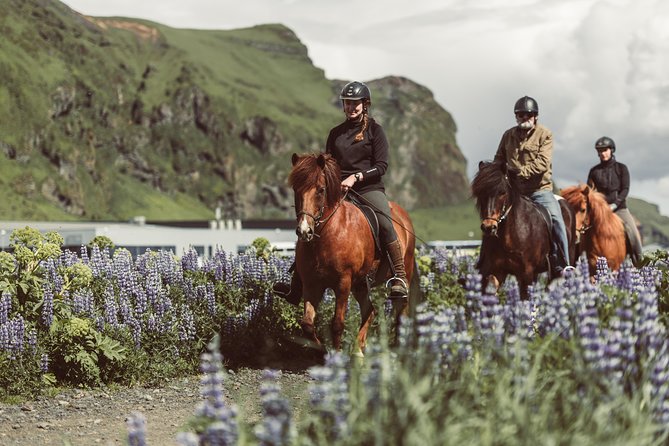 Black Sand Beach Horse Riding Tour from Vik - Key things to know before you go