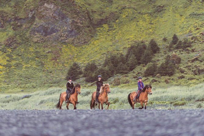Black Sand Beach Horse Riding Tour from Vik - What to wear and bring for black sand wind